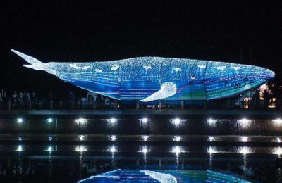 自貢燈會——鯨魚
